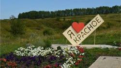 Жители красногвардейского села Красное выступили с инициативой обустроить зону отдыха