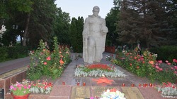 Жителей Красногвардейского района могут присоединиться к онлайн-акции «Свеча памяти»