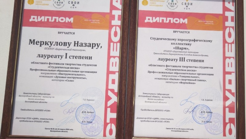 Обучающиеся Бирючанского техникума выступили на региональном этапе «Студенческой весны»