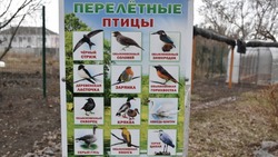 Красногвардейская Станция юных натуралистов разработала проект по орнитологии