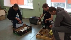 Жители красногвардейского села Сорокино накопили опыт поддержки участников СВО