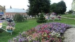 Возвращаясь к напечатанному. Жители Бирюча – о благоустройстве города