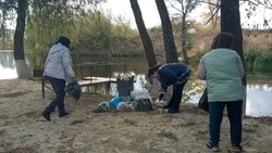 Более трёх тыс. красногвардейцев участвовали в благоустройстве и озеленении в период месячника