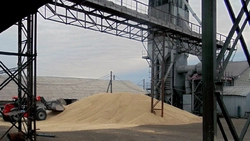 Бирюченское ХПП вошло в сотню успешных предприятий России