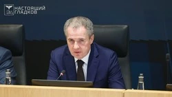 Вячеслав Гладков: компании по производству датчиков контроля сахара внесены в «белый список»