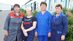 Животноводы красногвардейской фермы «Большевичка» перевыполнили плановые показатели