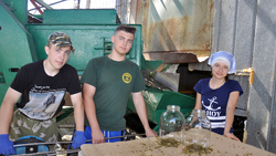 Подростки получили первые трудовые навыки в цехе «Домат» в Бирюче