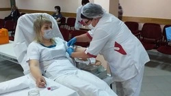255 Почётных доноров проживают в Красногвардейском районе