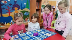 Воспитанники детского сада «Солнышко» из Бирюча познакомились с основами программирования