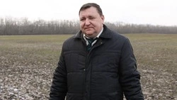 Красногвардейские животноводы получили в 2024 году более 10 тыс. килограммов молока от коровы