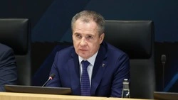 Вячеслав Гладков обязал глав муниципалитетов обеспечить защиту генераторов в кратчайшие сроки