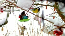 Житель Красногвардейского района Леонид Евтушенко: «Полезное занятие»