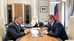 Вячеслав Гладков провёл рабочую встречу с помощником президента РФ Алексеем Дюминым