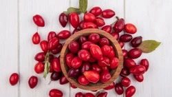 Леонид Евтушенко из Красногвардейского района: «Подарок предков»