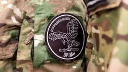 Вячеслав Гладков принял участие в церемонии награждения бойцов самообороны