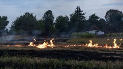 Власти ввели особый противопожарный режим в Красногвардейском районе