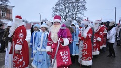 Первый зимний фестиваль «Нашествие Дедов Морозов» пройдёт в Красногвардейском районе