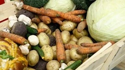 Вячеслав Гладков – о сборе овощей открытого грунта в 2025 году