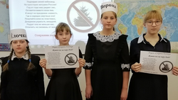 Ученики Арнаутовской школы Красногвардейского района получили награды