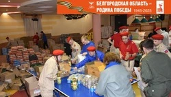 Волонтёры красногвардейского Штаба Победы подготовили более 1500 продуктовых наборов для детей войны