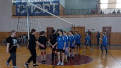 Соревнования по волейболу среди девушек прошли в Красногвардейском районе