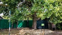 Наталья Веснина из Красногвардейского района: «Чтобы природный уголок стал местом притяжения»