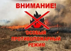 Красногвардейцы понесут наказание за нарушение требований противопожарного режима