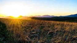 Специалист по чрезвычайным ситуациям напомнила о правилах пожарной безопасности на природе