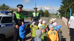 Воспитанники Нижнепокровского детского сада изучили правила дорожного движения