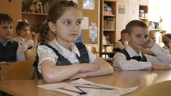 Девятиклассники Красногвардейского района пройдут собеседование по русскому языку