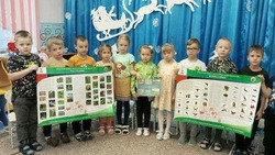 Воспитанники детсада «Росинка» города Бирюч совершили экологическое путешествие