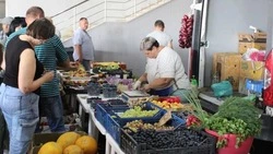 Вячеслав Гладков: К концу года количество соцконтрактов составит более 4,1 тысячи