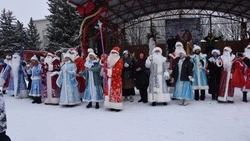 Главная ёлка муниципалитета порадовала красногвардейцев своими яркими огнями