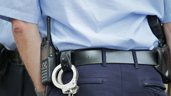 Красногвардейские полицейские зарегистрировали три преступления за период с 21 по 27 июня
