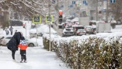 Вячеслав Гладков сообщил о создании единого центра выплат жителям региона