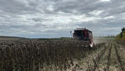 Николай Лиманский из Красногвардейского района: «Большой комплекс работ»