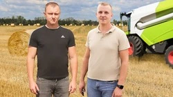 Работники агрокомбината «Бирюченский» провели уборку зерновых в сжатые сроки