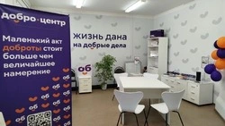 Регионы России получат 202,5 млн рублей на развитие добровольчества