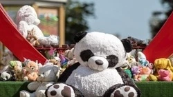 Вячеслав Гладков: отделение ЛДПР перечислит деньги с агитации в Фонд помощи раненым детям