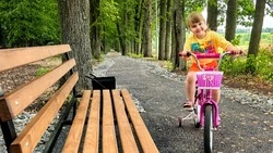 Шесть красногвардейских поселений реализовали за пять лет 30 инициатив