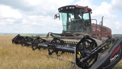 Красногвардейские аграрии приступили к уборке ранних зерновых 