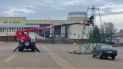 Рабочие приступили к установке главной ёлки Красногвардейского муниципального округа