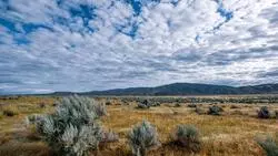 Книга о степных участках Красногвардейского района вышла в свет