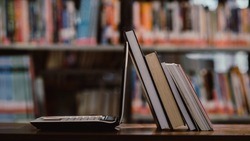 19 тыс. книг и рукописей стали доступны для жителей региона на сайте Белгородской научной библиотеки