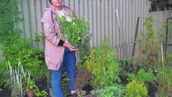 Наталья Васильева из красногвардейского села Хуторцы заключила социальный контракт