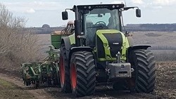 Испытание полем. В красногвардейском сельхозпредприятии рассказали о ходе весенней страды 