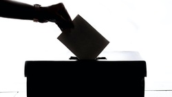 Красногвардейский избирком проинформировал избирателей о досрочном голосовании