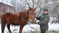 Супруги Кулыгины из села Плюхино Красногвардейского района — о своём подворье