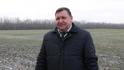 Аграрии Красногвардейского района посеяли 23 тысячи га озимых