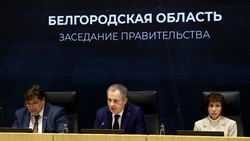 Вячеслав Гладков поручил сократить регламенты по подключению домов к генераторам и подвозу воды